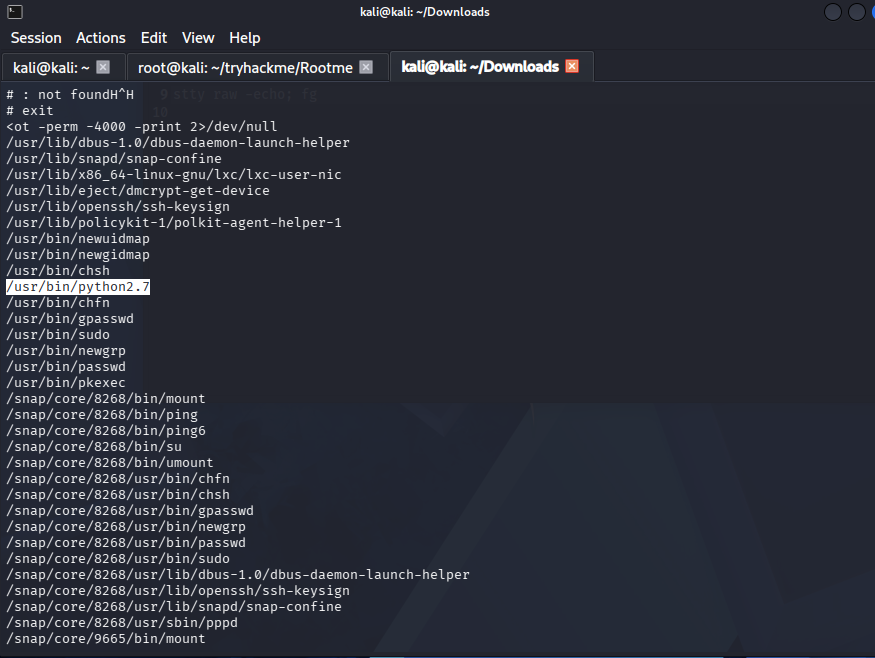 Searching SUID Files